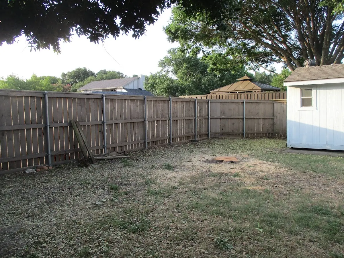 Cleared yard after professional tree removal in Oskaloosa