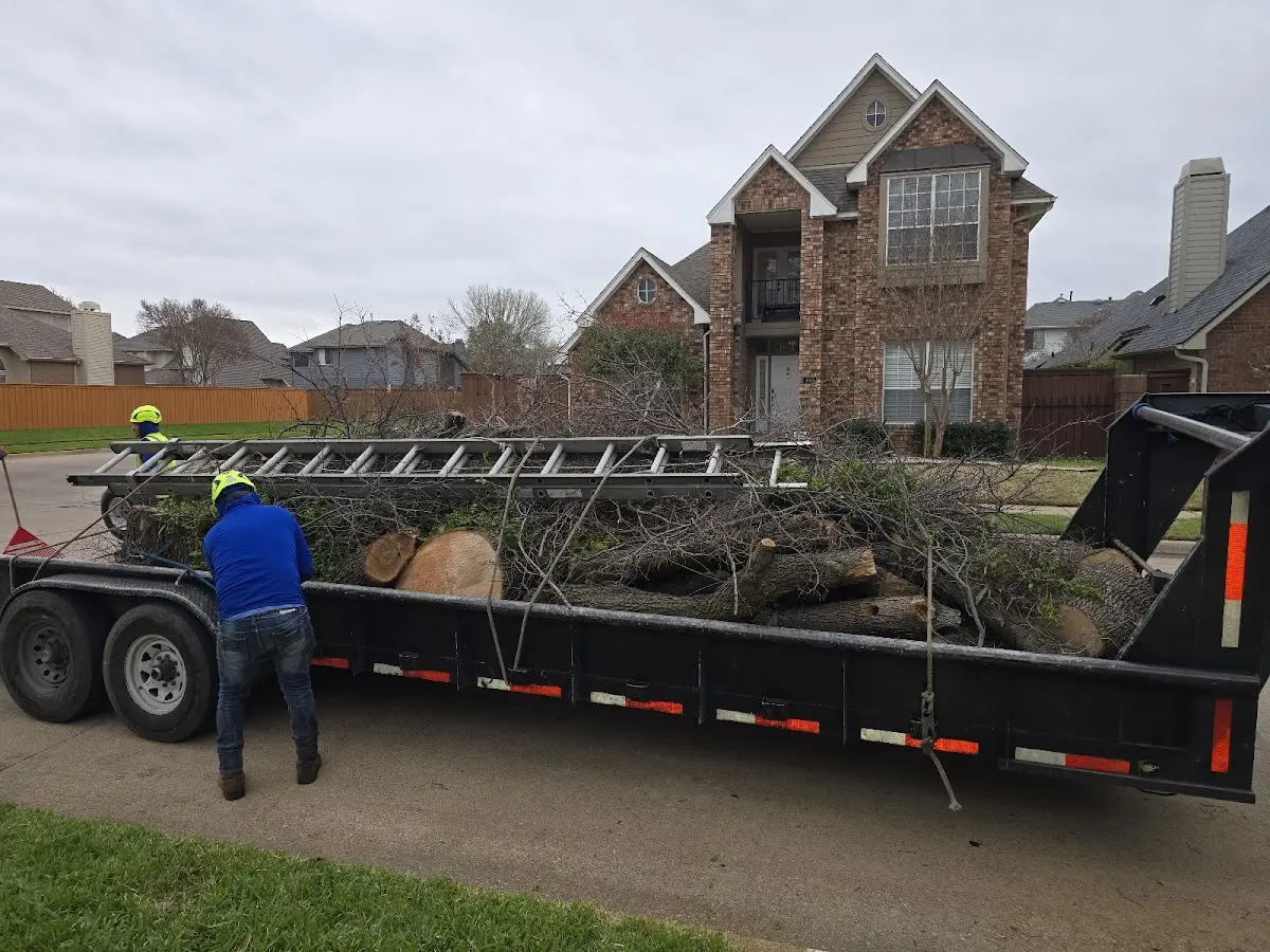 Expert Tree Pest Control with proper safety equipment in Oskaloosa
